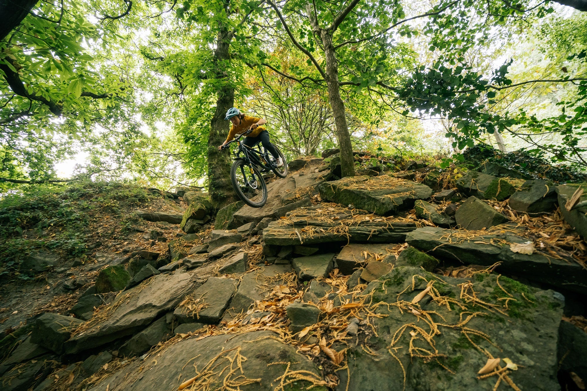 RE:NEW HUNT Proven Carbon Race Enduro 29 Wheelset - Image 10