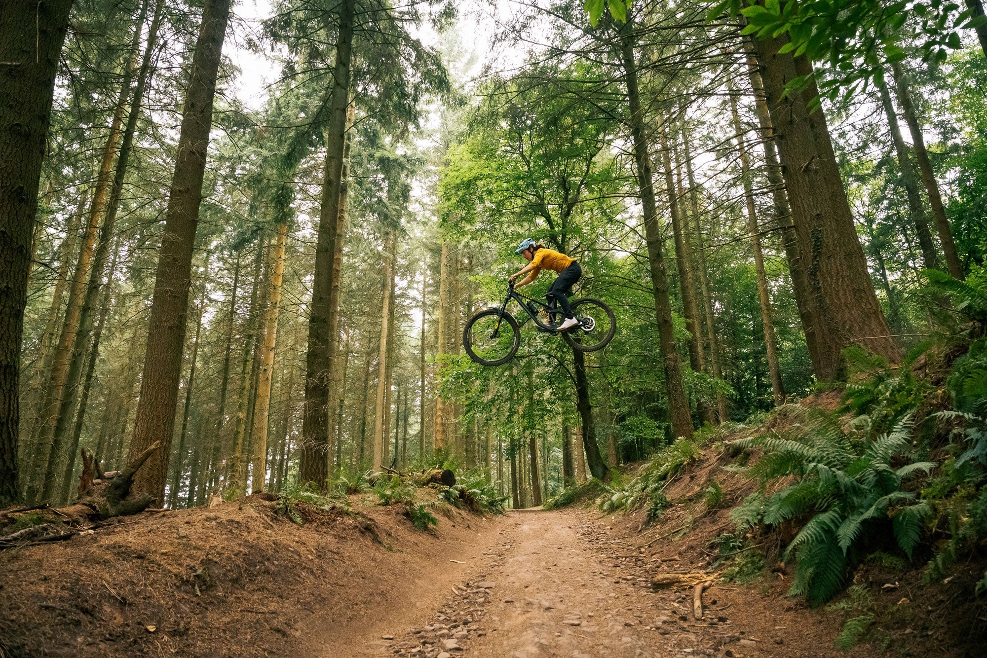 RE:NEW HUNT Proven Carbon Race Enduro 29 Wheelset - Image 11